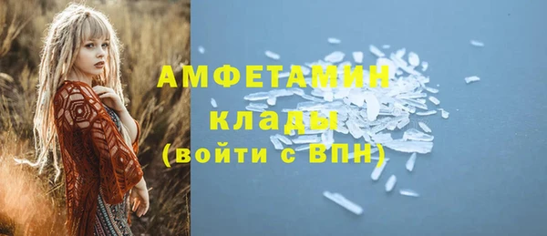 PSILOCYBIN Покачи