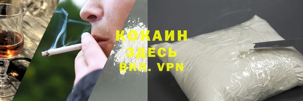 PSILOCYBIN Покачи