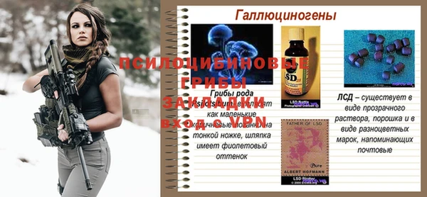 PSILOCYBIN Покачи