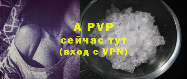 PSILOCYBIN Покачи