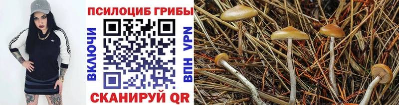 Псилоцибиновые грибы ЛСД  Ясногорск 